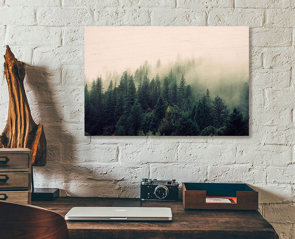 A readymade wood print on a white brick wall. A conifer forest fading into fog and the print's wood grain.